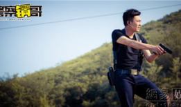 警察锅哥电视剧全集在线观看,揭秘警界风云，正义与智慧的较量