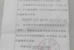 电视剧离婚协议全集在线观看,情感纠葛下的婚姻抉择，全集在线观看解析