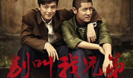 电视剧兄弟,命运交织的血脉传奇