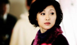 贤妻良母电视剧,演绎家庭和谐的艺术