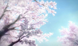 动漫风景图片樱花,漫天花雨绘春景——樱花动漫风景图赏析