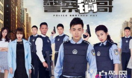 电视剧警察锅哥,正义与智慧的较量